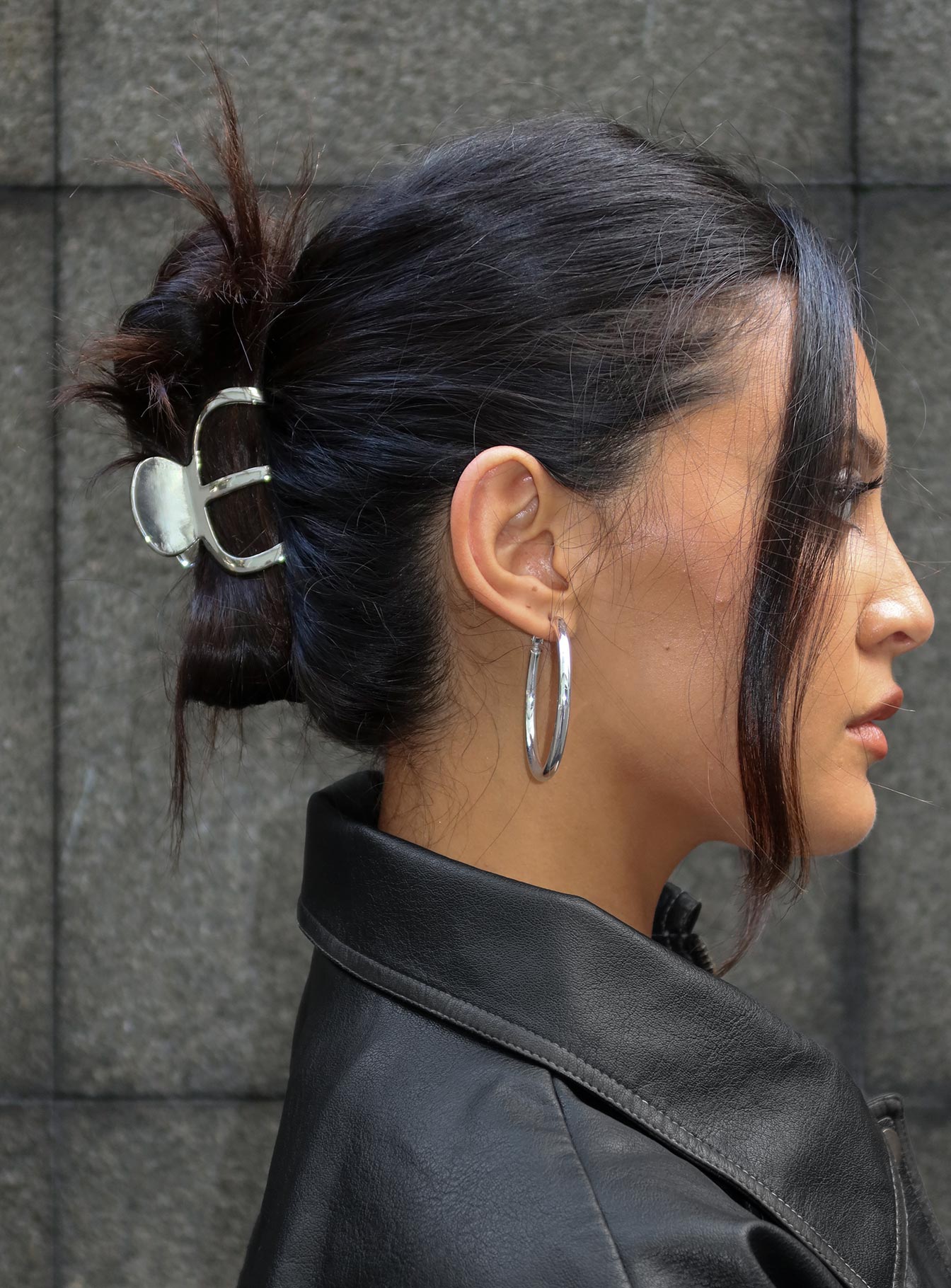 Swain Claw Clip Silver