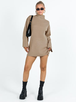Long sleeve mini dress Ribbed knit material Turtle neck Drop shoulder