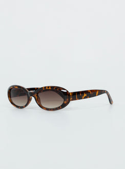 Rounded frame Tort frame Moulded nose bridge Brown tinted lenses