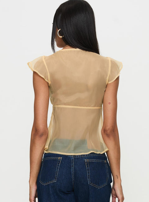 back view of model wearing Princess Polly Keysia Cap Sleeve Sheer Top Apricot Short Sleeves Plunger 