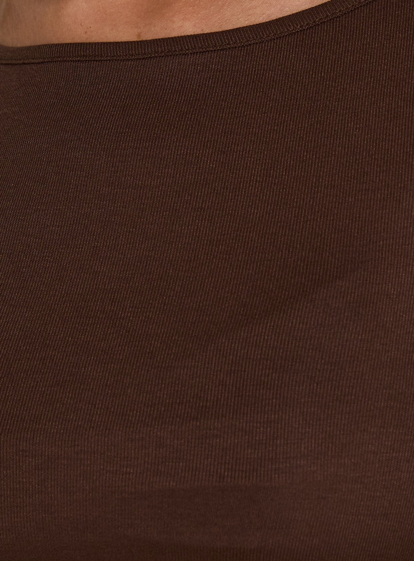 Long Weekends Semi-Sheer Long Sleeve Top Brown
