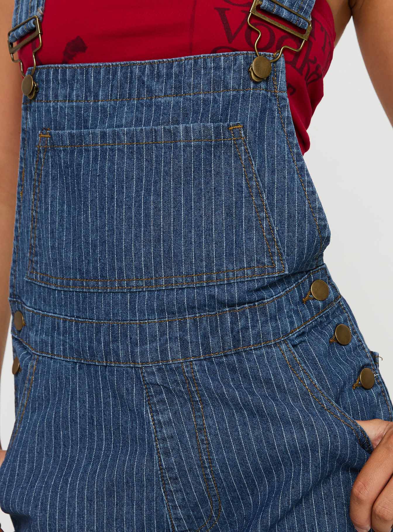 Blue Overalls Pinstripe print, gold-toned hardware, five pocket design, button fastening