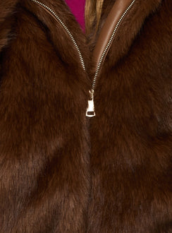 Act Up Faux Fur Hooded Jacket Brown