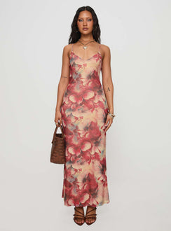 front view of model wearing Princess Polly Fortunata Maxi Dress Floral / Multi Plunger 