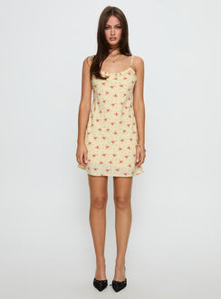 Blossomer Frill Trim Mini Dress Yellow Floral