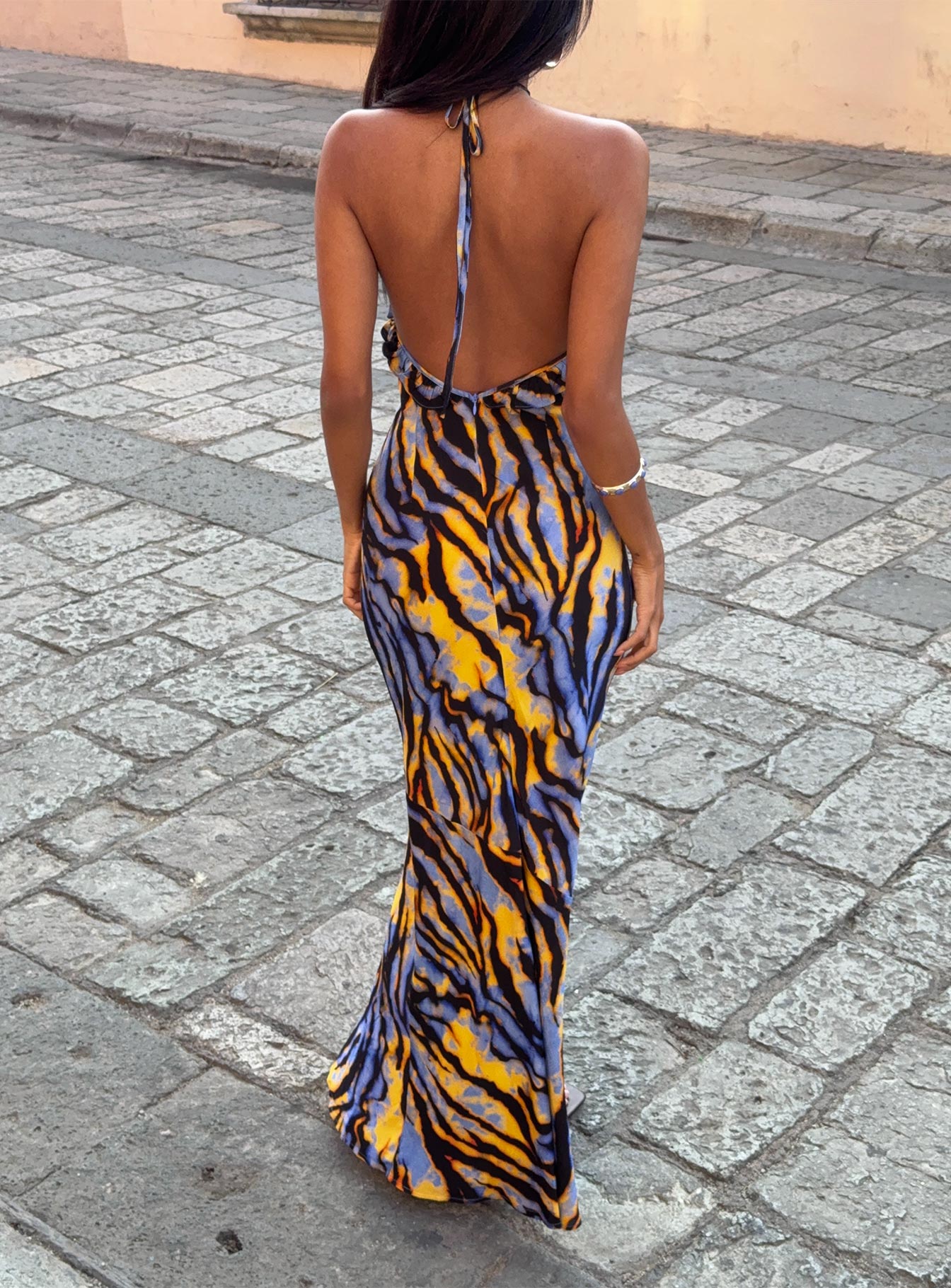 back view of model wearing Princess Polly Virginia Beach Backless Maxi Dress Blue Zebra High Neck 