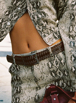 Prolifically Belt Dark Brown