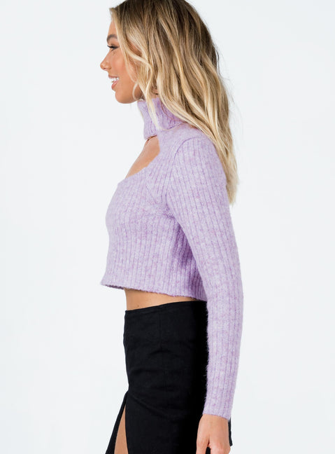 Kai Sweater Purple Princess Polly  Cropped 