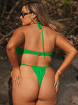 Ariella Bikini Bottoms Green